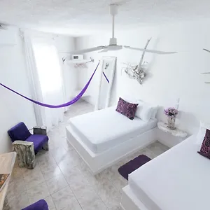 Casa Del Viento - Adults Only Holbox